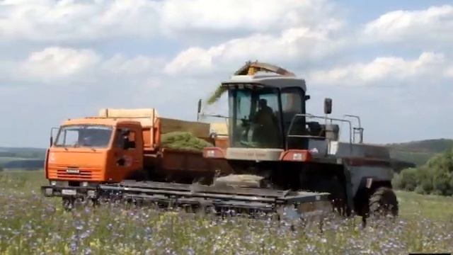Forage harvester KSK-100A-3 and DON-680M silage /// КСК-100А-3 и ДОН-680М Заготовка сенажа