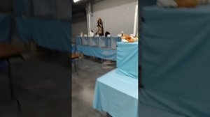 «ЁЖКИН КОТ». ВЫСТАВКА КОШЕК В МОСКВЕ🐈🐈🐈