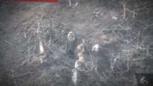 СВО. Мгновенная карма за неприличный жест в сторону операторов дронов ВС РФ