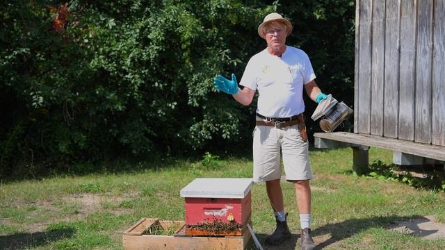 Varroa Mite Control  - Apivar смотреть онлайн