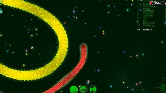 WORMAX.IO ( НАБРАЛ 11 К МАССЫ) смотреть онлайн