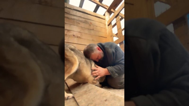 Спасибо, что поддержали нас в телеграмме ❤️❤️❤️#приютхвостатоесчастье