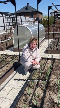 ЧТО ДЕЛАТЬ С ЧЕСНОКОМ В АПРЕЛЕ!