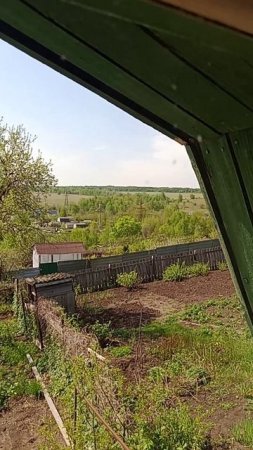 VID-20230504-WA0023.mp4