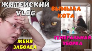 НЕДЕЛЬНЫЙ ВЛОГ: Отмыла кота, сделала генеральную уборку | Женя снова заболел