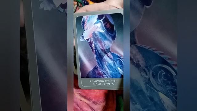 The Empath's Oracle -- Walk-thru & Micro-review смотреть онлайн