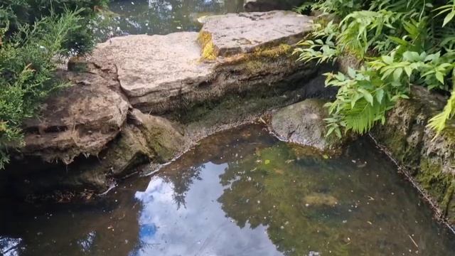 День вдохновения в Японском саду