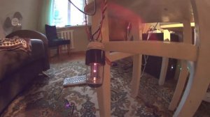 Убил кенотрон 6ц5с ((