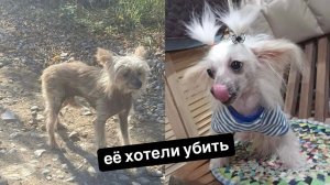 Думали она больная