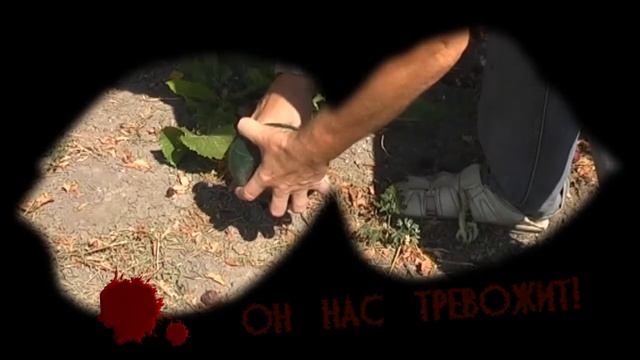 Отпугиватель кротов. С Али-Экспресс.