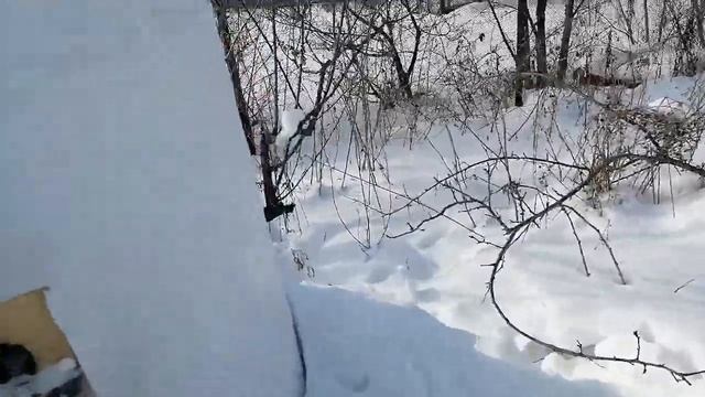 Как зимуют пчелы в колоде смотреть онлайн