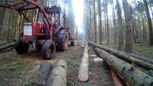На тракторе т-25 в лес