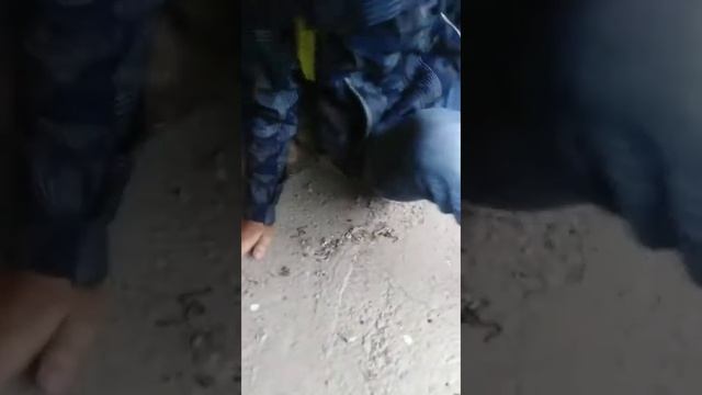 [VLOG] МУД С БОГДАНОМ НА УЛИЦЕ В ДОЖДЬ! смотреть онлайн