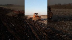 Дисковка...  ДТ 75