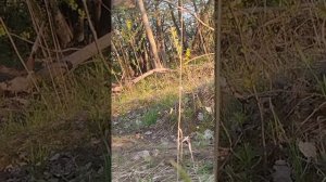 Кидаем газовый баллон в костер и смотрим что будет.