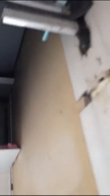 Видео отчёт монтажника об устранении протечек фасада от компании РемСпецСтрой