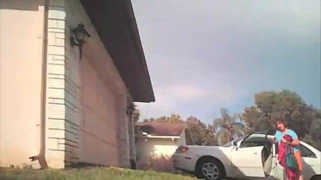 A Cat's Perspective Short Film смотреть онлайн