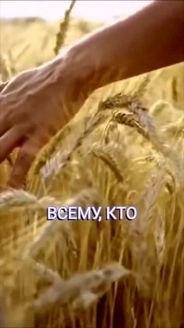 Направление в мечту