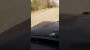 Дорога в Ярославской области.