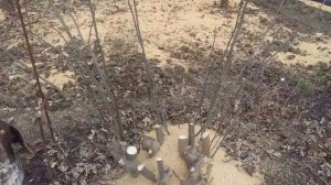 Черешни  и инжир