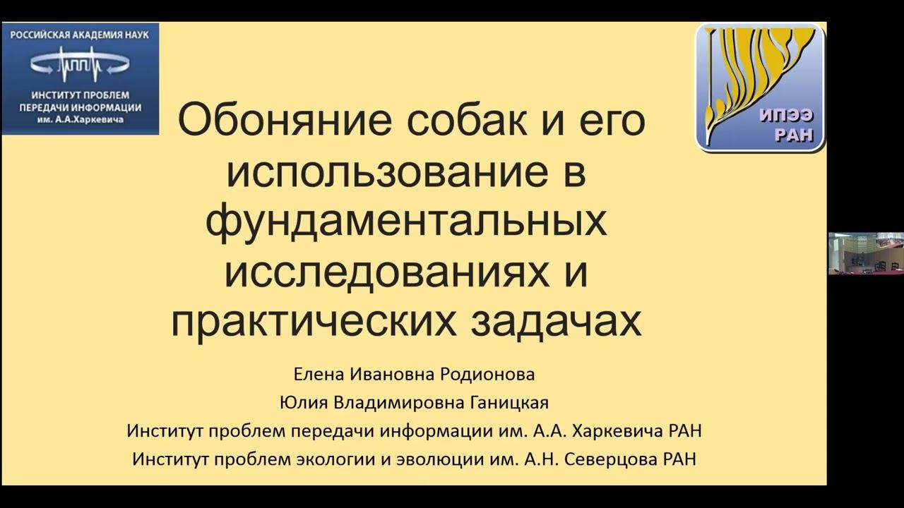 Обоняние собак и его использование в фундаментальных исследованиях и практических задачах