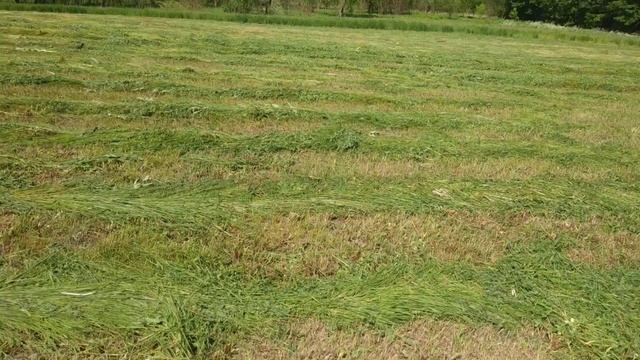 Почали косить сіно смотреть онлайн