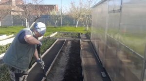 Посадила картошку и выдернула ещё один зуб.