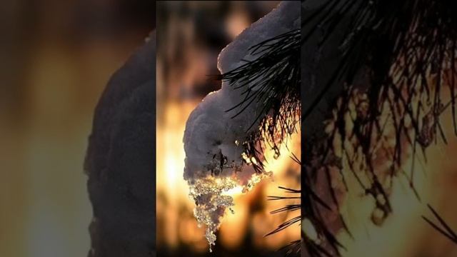 30 декабря 2020 г. смотреть онлайн