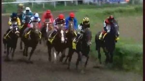 Скачки на приз Президента РФ.  Ростов, Россия 2010