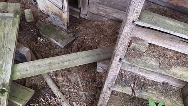 ИСТОРИЯ ОДНОГО КОПА — (Часть №2) ПРОГУЛКА ОПРАВДАЛАСЬ???☻