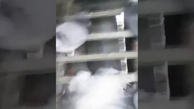 спортивнi голуби смотреть онлайн