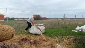 Мульчирование огорода соломой весной / плюсы и минусы