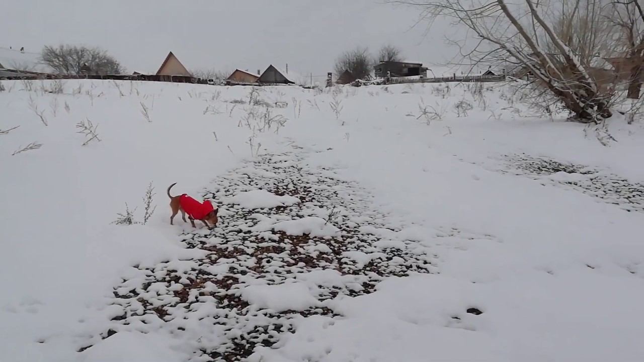 Зимний приветик! смотреть онлайн