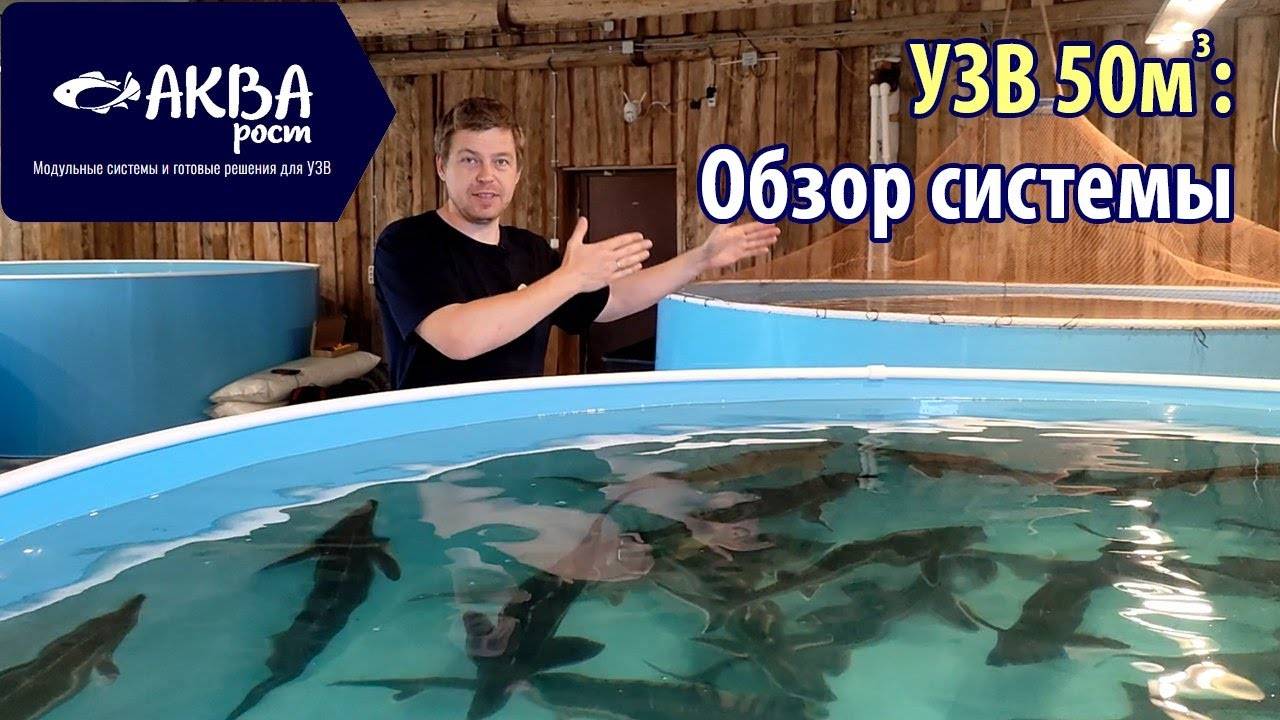 Обзор УЗВ в Коломне на 50 кубов #рыба #узв #бизнесвдеревне смотреть онлайн