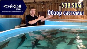 Обзор УЗВ в Коломне на 50 кубов #рыба #узв #бизнесвдеревне