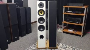 Davis Acoustics Courbet n° 5 - quando il gusto diventa raffinato.