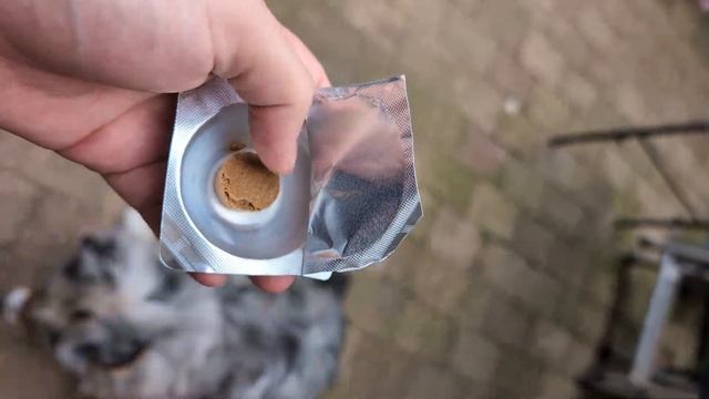 Собаки сами едят таблетки! Таблетки от клещей Бравекто смотреть онлайн