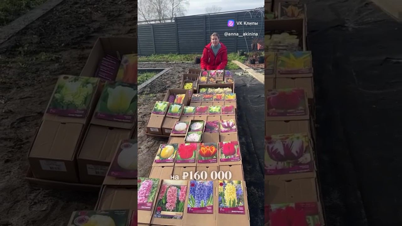 ЭТО САМОЕ МАСШТАБНОЕ ЦВЕТЕНИЕ ТЮЛЬПАНОВ НА ДАЧНОМ УЧАСТКЕ