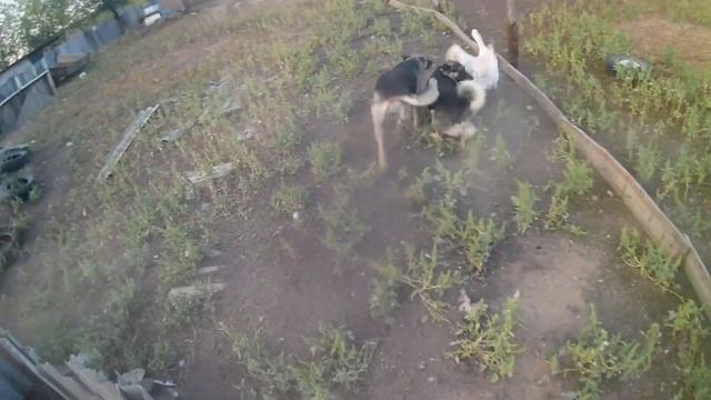 первый эпизод крах гусей смотреть онлайн