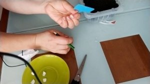 Посев семян: ТИМЬЯН пурпурный! Какие многолетние цветы у меня уже взошли?