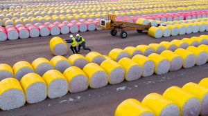 Залипательные Моменты с Рабочими, от Которых Невозможно Оторвать