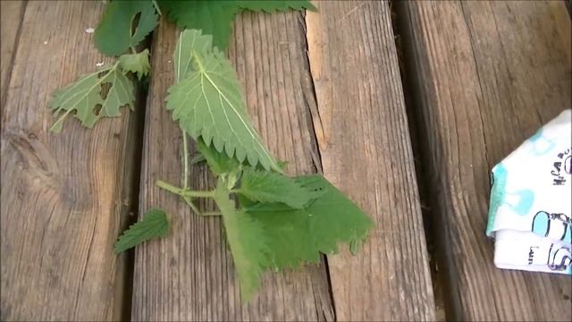 how to make nettle tea смотреть онлайн