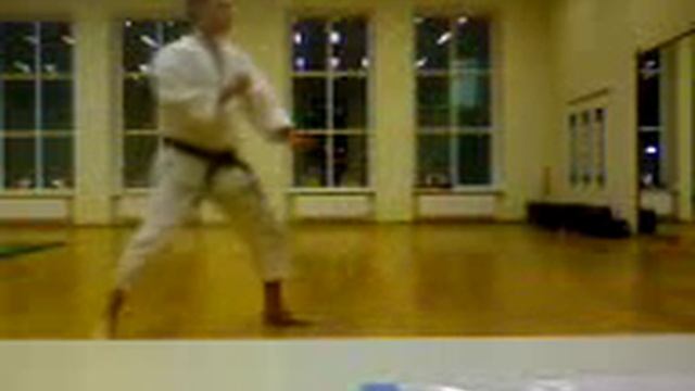 Tenchiken 1-6. 少林寺拳法 Shorinji Kempo Valeriy Karibyan | Сёриндзи Кэмпо - Валерий Карибьян