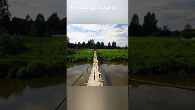 #андрейординарцев #рекибелоруси#природародногокрая  Река Западная Двина.