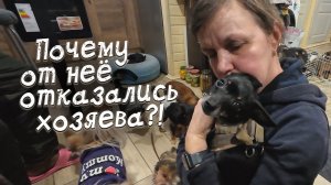 Почему от этой собаки отказались?!