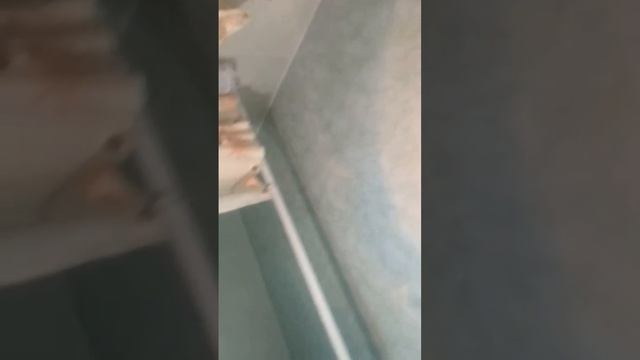 Потоп, вода на кухне, в ванной и детской смотреть онлайн