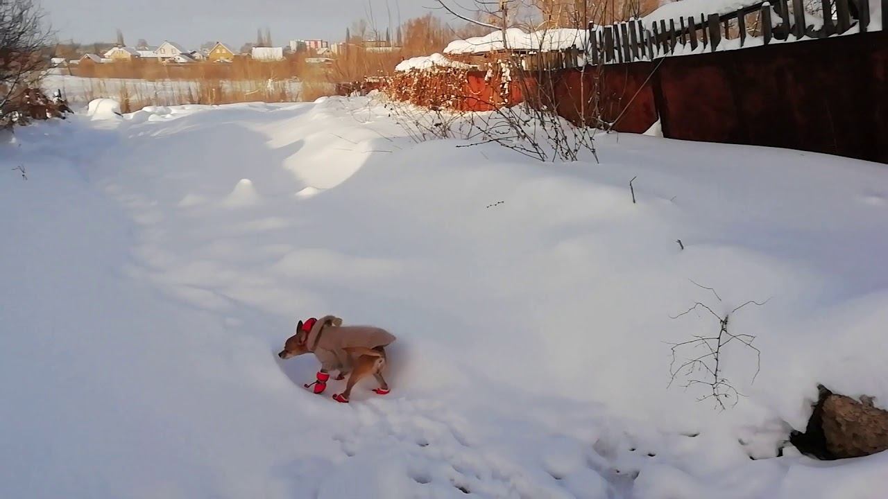 Мороз и солнце 28.01.2020 смотреть онлайн
