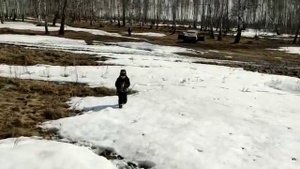 аватар мту 81ле