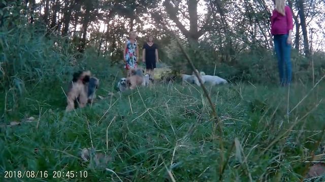 vreemde... смотреть онлайн