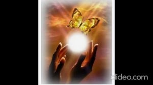 в потоке света...